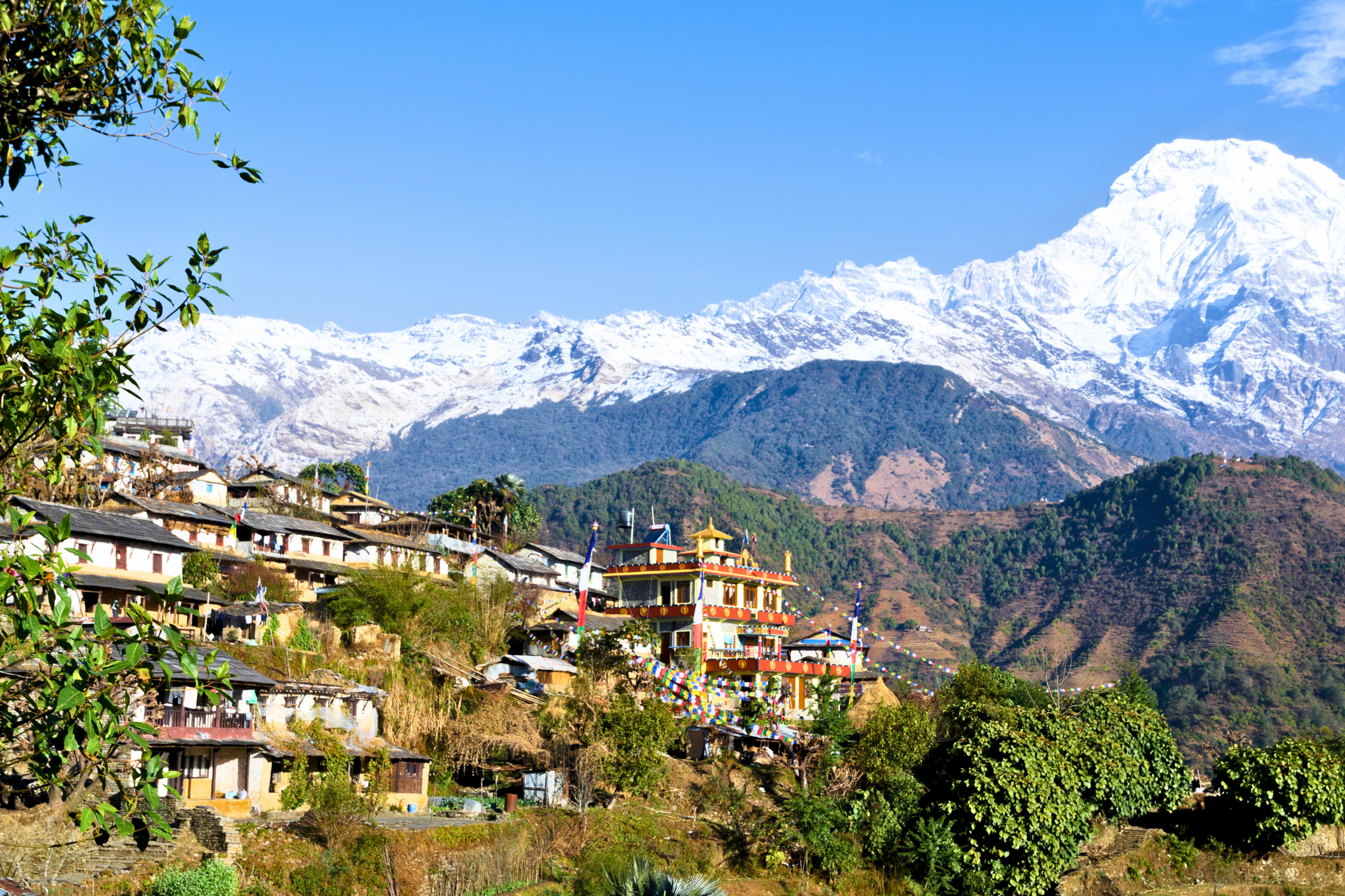 ghandruk (4).webp